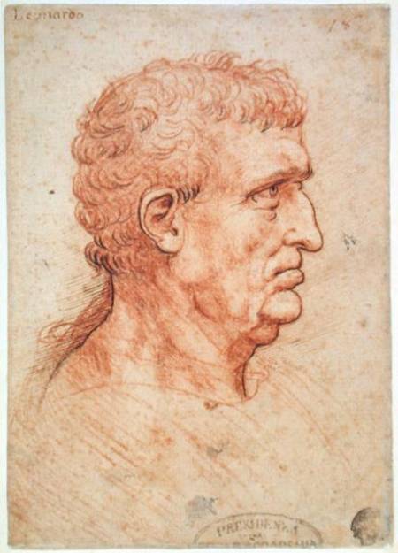 Head of a Man in Profile de Leonardo da Vinci