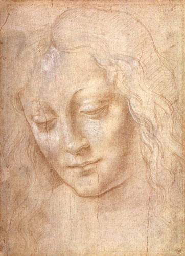 Head of a woman de Leonardo da Vinci