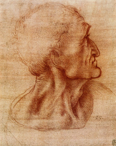 Study for the Holy Communion (Judas) de Leonardo da Vinci