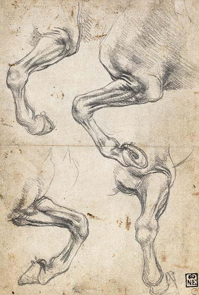 Studies of Horse's Leg de Leonardo da Vinci