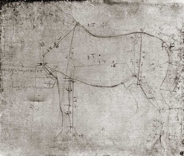 Study of a Horse de Leonardo da Vinci