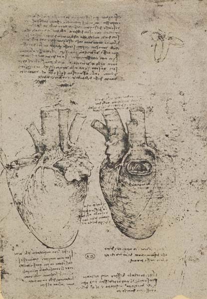 The Heart, facsimile of the Windsor book de Leonardo da Vinci