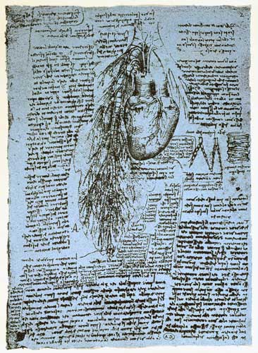 The Heart and the bronchial arteries, facsimile of the Windsor book  and de Leonardo da Vinci