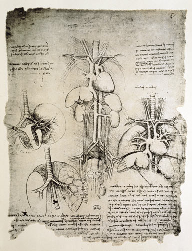 The Heart and the circulation, facsimile of the Windsor book  and de Leonardo da Vinci