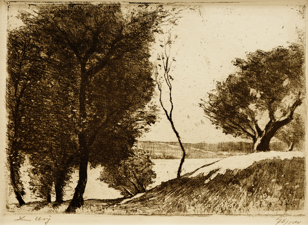 Baumbestandenes Ufer am märkischen See de Lesser Ury