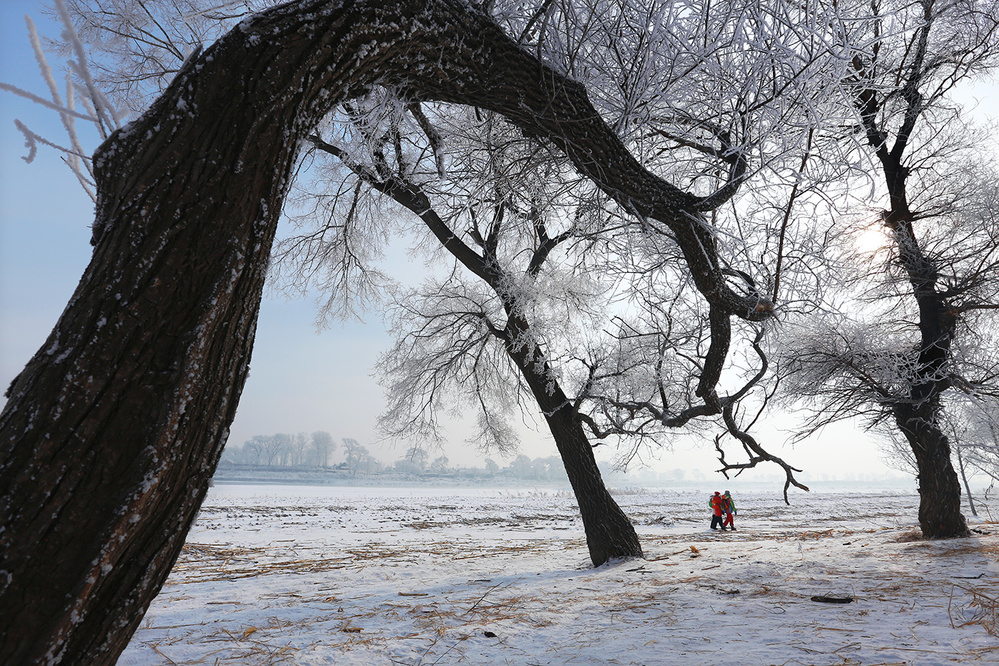 Tree and Frozen land de Libby Zhang