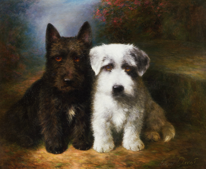 A Scottish and a Sealyham Terrier de Lilian Cheviot