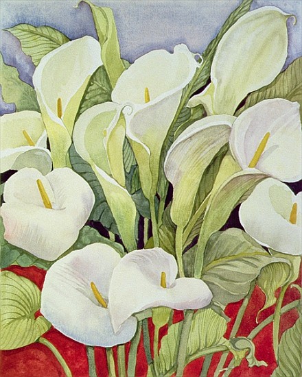 Arum Lillies, 1978 (watercolour) de Lillian  Delevoryas