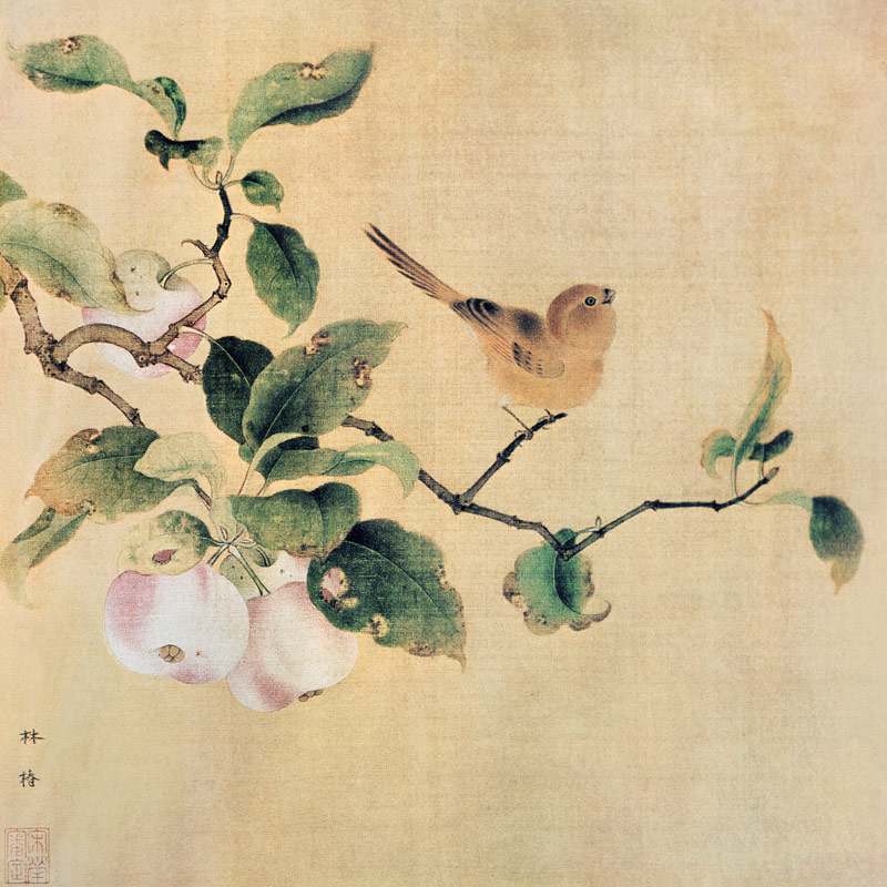 Vogel und reifende Aepfel de Lin-Tschun chinesischer Maler der Sung-Zeit