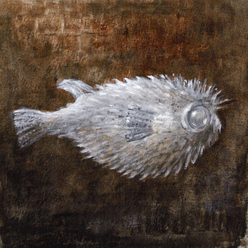 Puffer Fish de Lincoln  Seligman