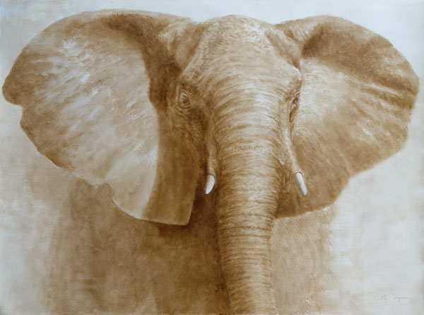 Elephant, 2004 (acrylic on paper)  de Lincoln  Seligman