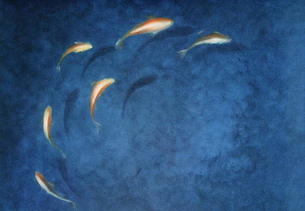 Goldfish Pool  de Lincoln  Seligman