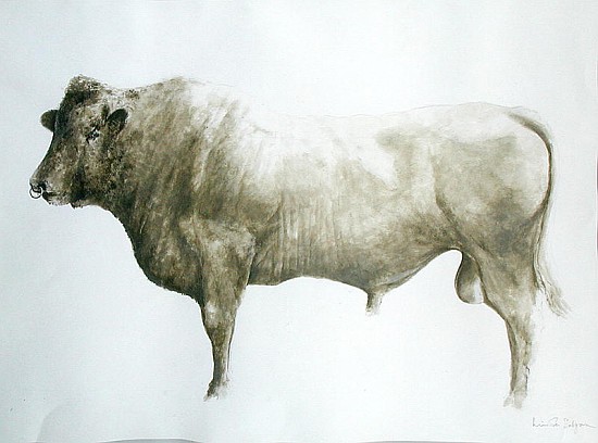 Islay Bull, 2004 (acrylic on canvas)  de Lincoln  Seligman