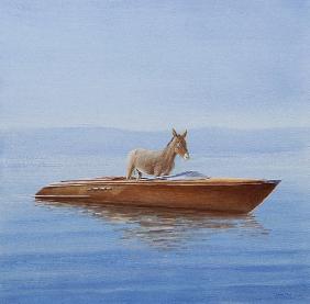 Donkey in a Riva