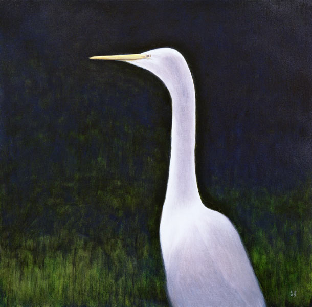 White Egret (oil on canvas)  de Lincoln  Seligman