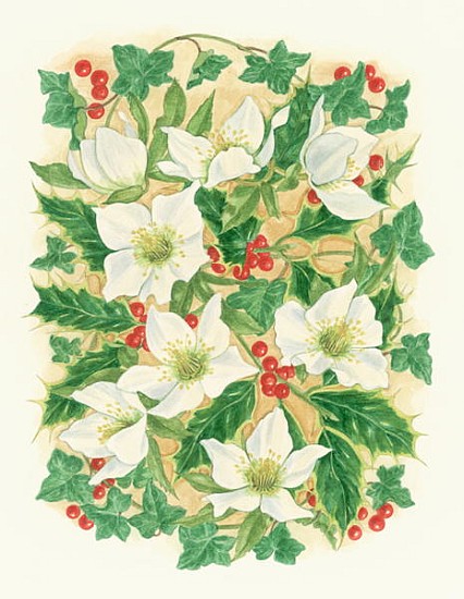 Christmas Roses, 1997 (w/c on paper)  de Linda  Benton