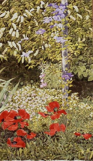 Poppies and flowering Clematis  de Linda  Benton