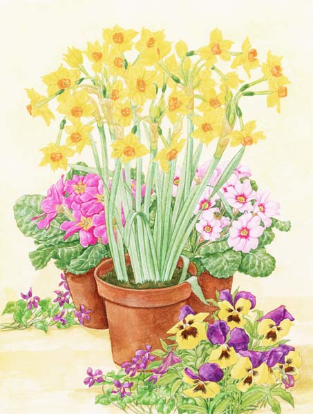 Pots of Spring Flowers, 2003 (w/c on paper)  de Linda  Benton