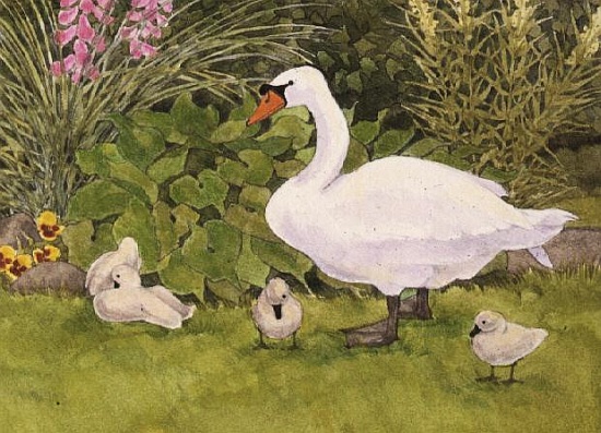 Swan and Cygnets de Linda  Benton