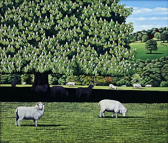 Dorset Parkland, 2007 (oil on canvas)  de Liz  Wright