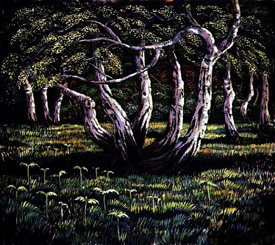 Silver Birch Trees, 1988  de Liz  Wright