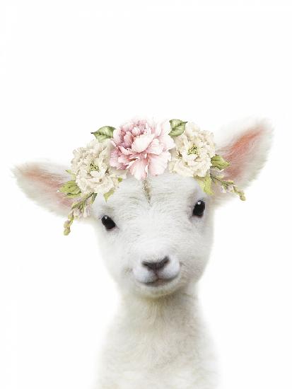 Floral Baby Sheep