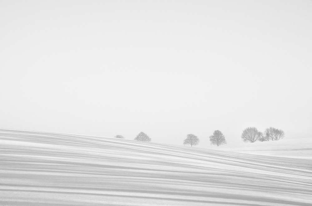 Snowlines de Lou Urlings