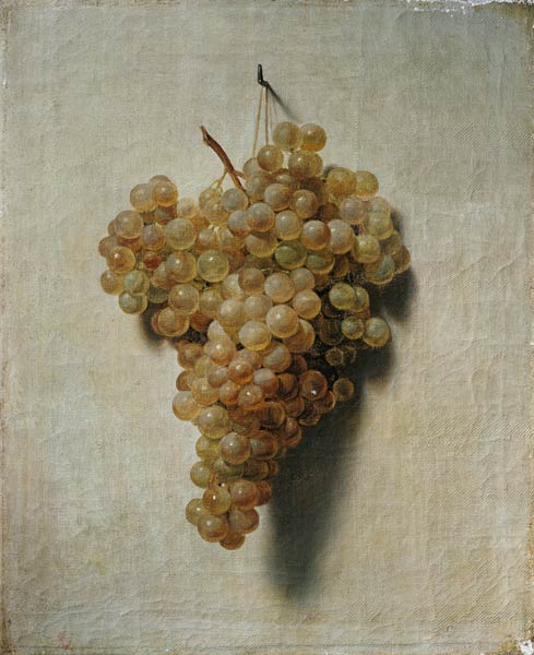 White grapes de Louis-Léopold Boilly