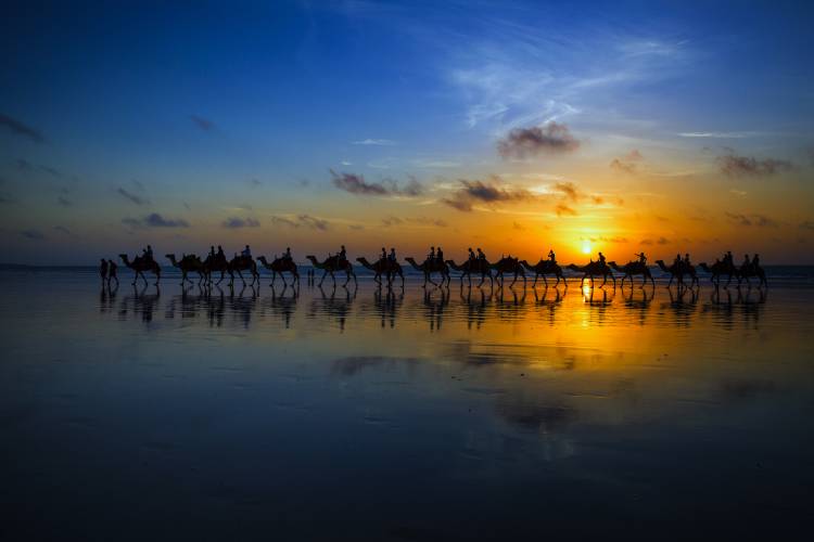 Sunset Camel Ride de Louise Wolbers