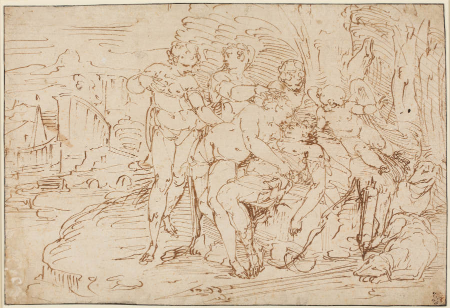 Venus mourning Adonis de Luca Cambiaso