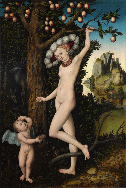 Cupid complaining to Venus de Lucas Cranach el Viejo