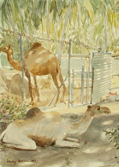 Camels at Rest, Salala (Oman) 1992 (w/c)  de Lucy Willis
