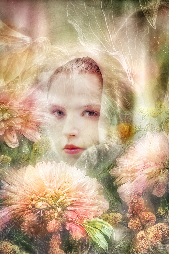 Femme aux chrysanthèmes de Ludmila Shumilova