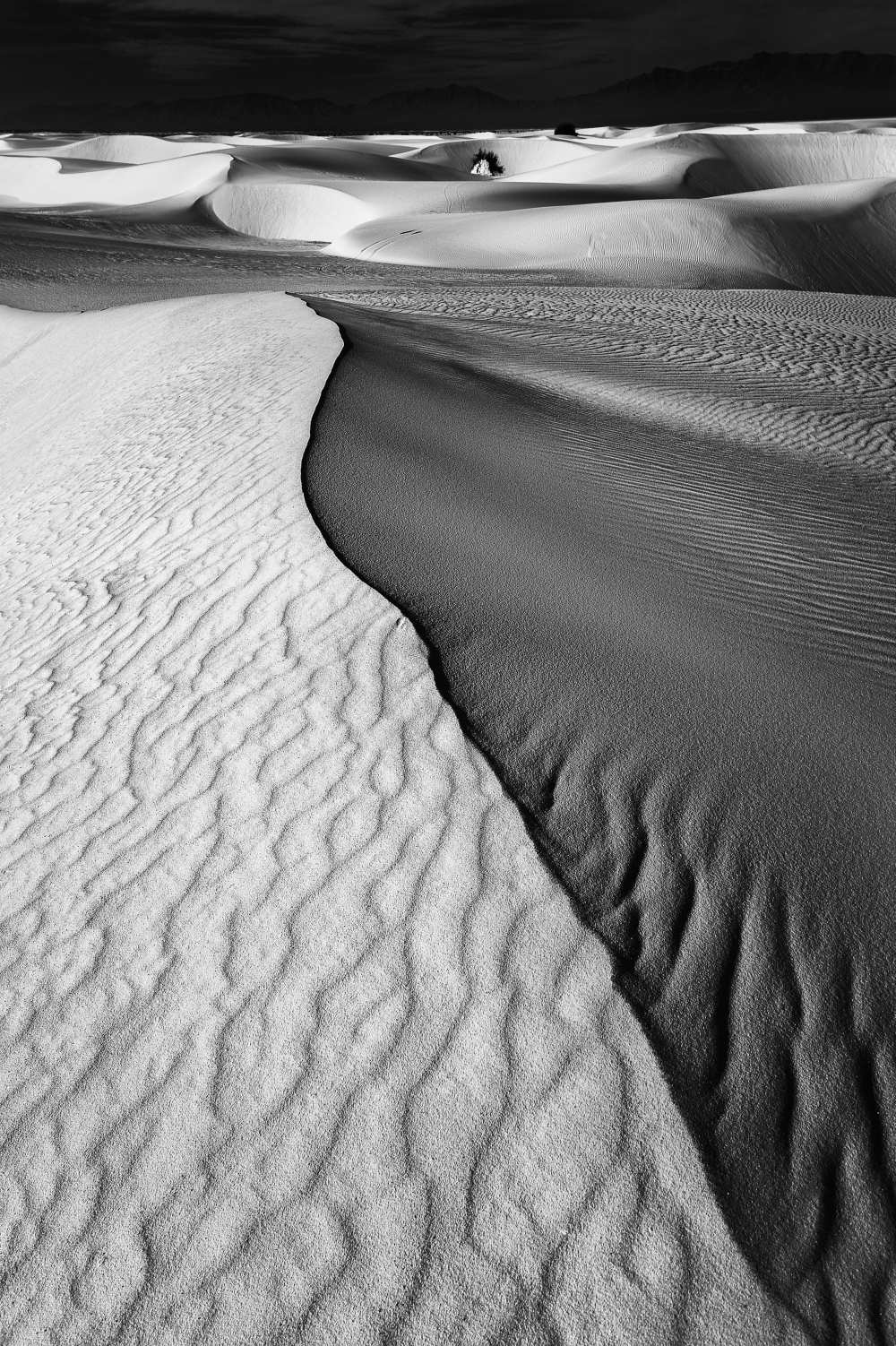 Sand Waves de Lydia Jacobs
