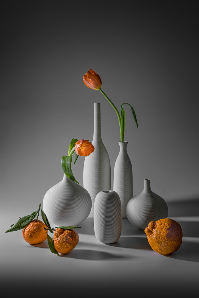 Tulip and Mandarin Orange de Lydia Jacobs