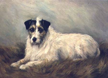 Terrier de Mabel Hastings