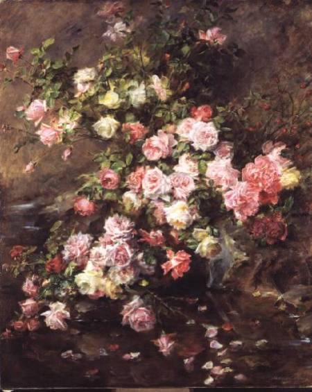 Roses de Madeleine Lemaire