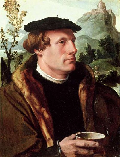 Portrait of a Gentleman de Maerten van Heemskerck