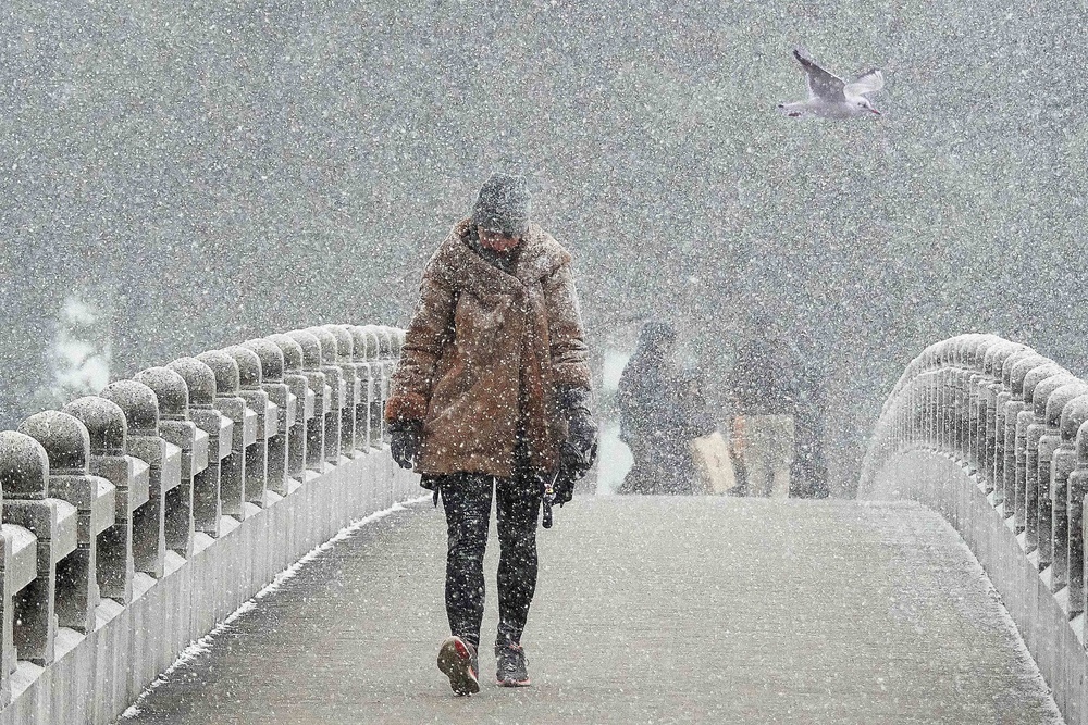 Snowstorm Bridge de Makoto Hamasaki