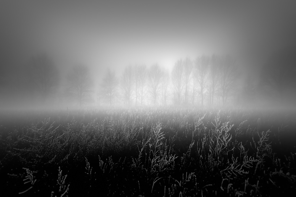 Misty row de Marc Huybrighs