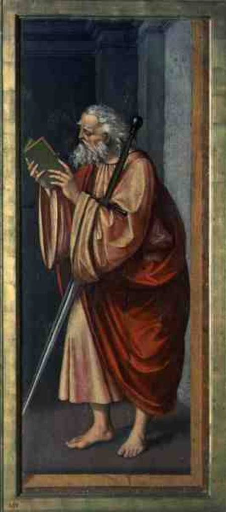 St. Paul Apostle de Marco D'Oggiono