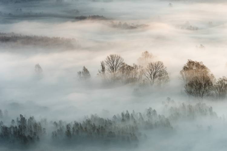 Winter fog de Marco Galimberti