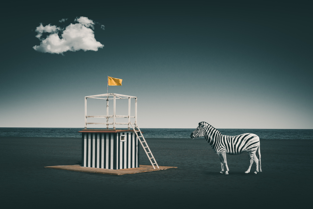 Zebra style de Marcus Hennen