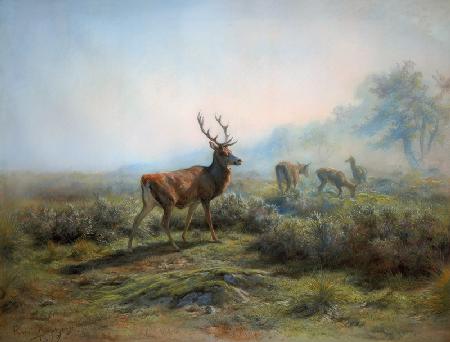 Red deer pack in a misty mountain landscape.