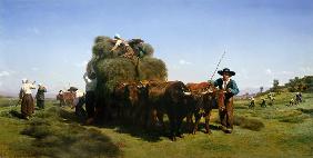 Haymaking, Auvergne