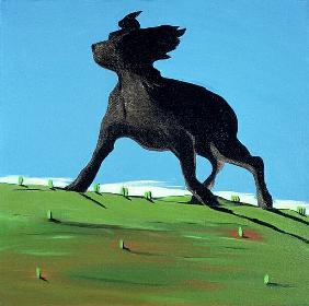 Amazing Black Dog, 2000 (acrylic on canvas) 