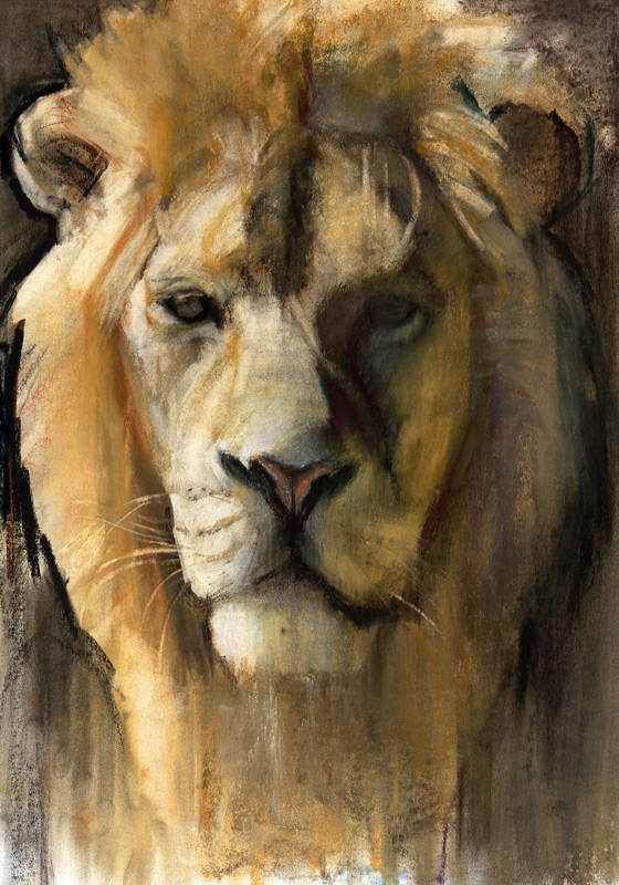 Asiatic Lion de Mark  Adlington