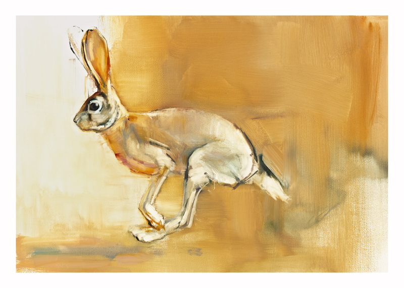 Cape Hare de Mark  Adlington