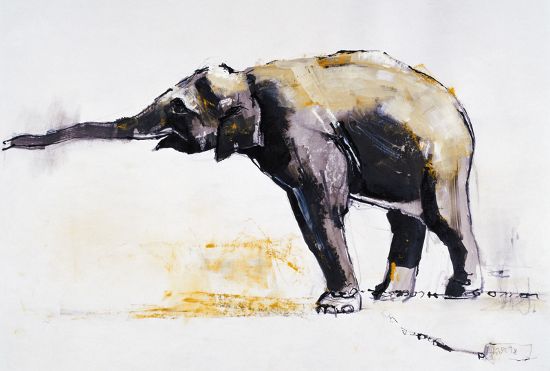 Indian Elephant, Khana de Mark  Adlington