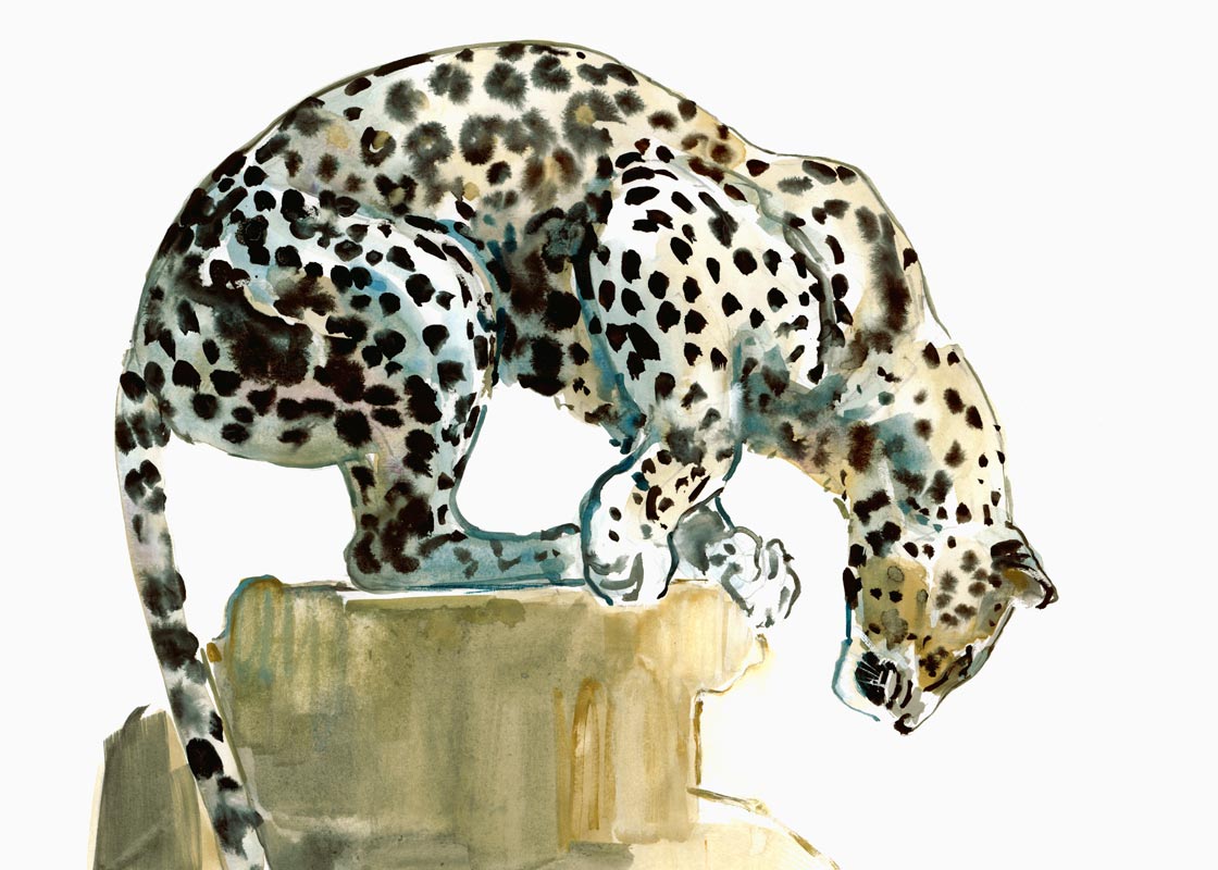Spine (Arabian Leopard) de Mark  Adlington